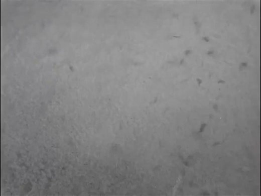 Busby Berkeley ICONIC Winter Dancing ~ Gold Diggers Of 1933 | Gentleman Style of Life