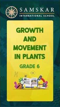 How Plants Grow & Respond to Light | Grade 6 Hands-On Science Activity #samskarinternationalschool