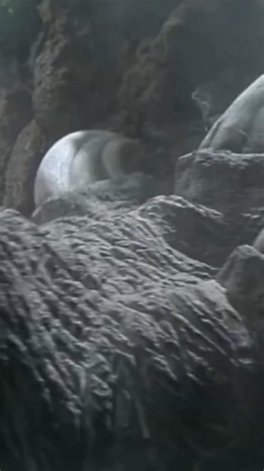 Godzilla Stomperz #yourfeed #funnyshorts #shorts #godzilla #gojira #actionfigures #comedy #stomper