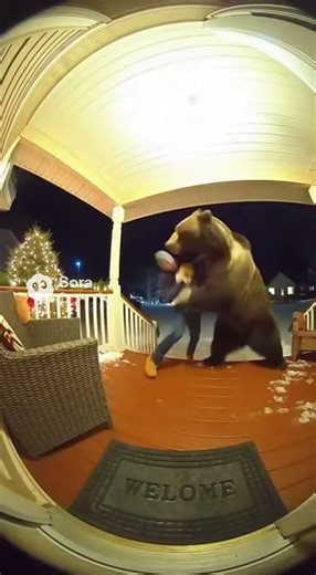 #animals #deliveryman #surprise #ai #soraai #funny