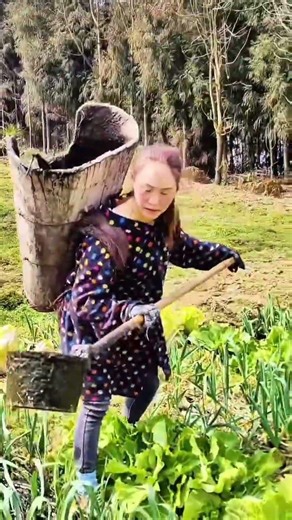 Hard Work in the Fields Traditional Organic Farming Methods