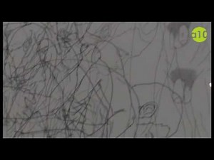 Moises Mahiques, Sweet Ilness