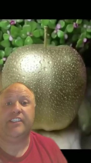 Intricate Apple Carving Techniques Revealed