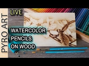 Pyrography: How to use Watercolor Pencils on Wood Burning (Albrecht Durer)