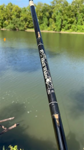 Catching bait with a cane pole #cooking #fishing #outdoors #easyrecipe #cheapprice #seafoodlover | Wade Fishez