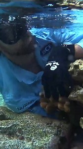 52K views · 1K reactions | This cray did not want to come out! | Back 2 Basics Adventures | Facebook