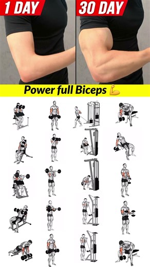 Biceps Exercises | biceps workout with dumbbells | biceps |Best Bicep workout #biceps #bicepworkout