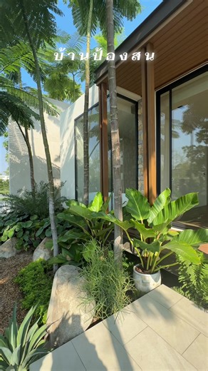 #บ้านพักวัยเกณียรในวัย36 #บ้านต่างจังหวัดของฉัน #บ้านและสวน #บ้านป้องสน