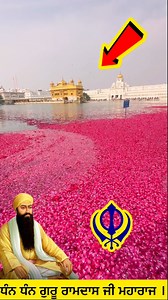 ਧੰਨ ਧੰਨ ਗੁਰੂ ਰਾਮਦਾਸ ਜੀ ਮਹਾਰਾਜ ਦੇ ਪ੍ਰਕਾਸ਼ ਪੁਰਬ ਦੀ ਖੁੱਸ਼ੀ ਵਿੱਚ ਸੰਗਤਾਂ ਨੇ ਕੀਤਾ ਜਹਾਜ ਰਾਹੀ ਫੁੱਲਾਂ ਸੀ ਵਰਖਾ । #gururdas #ShriDarbarSahib #Sachkhan #Amritsar #Waheguru #Godblessyou | Manjeet Singh Ferozpuria