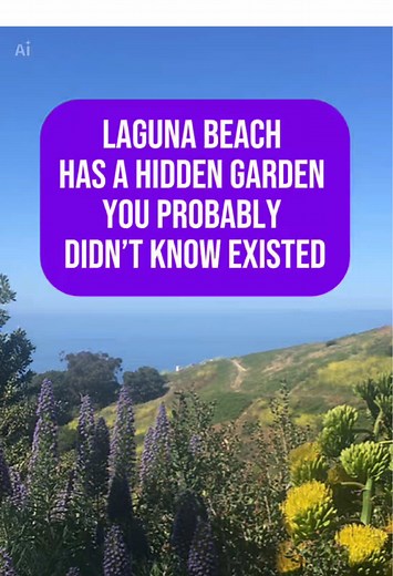 Discover Laguna Beach’s Hidden Hortense Miller Garden