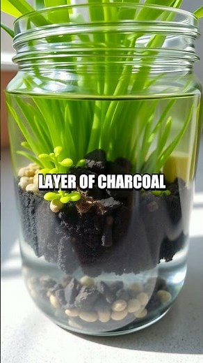 DIY Forest in a Jar: Creating Your Own Mini Ecosystem