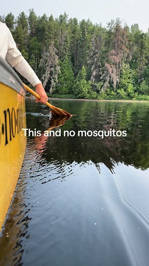 Canoeing and Camping in the BWCA Experience