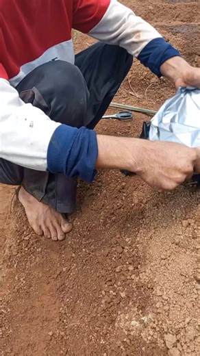 How to Install Plastic Mulch for Gardening