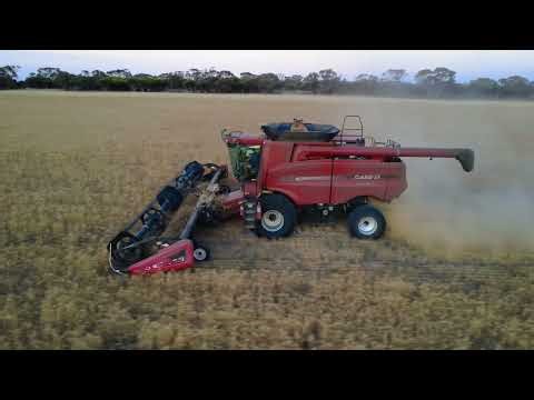 Case 8010 - 2025 Harvest