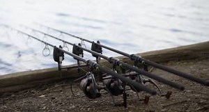 12 Best Carp Rods in 2025 - (All Tactics Covered)