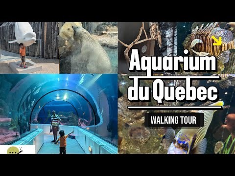 Inside the most Amazing Aquarium |Aquarium du Quebec|Full walking Tour| One day trip from Montreal |