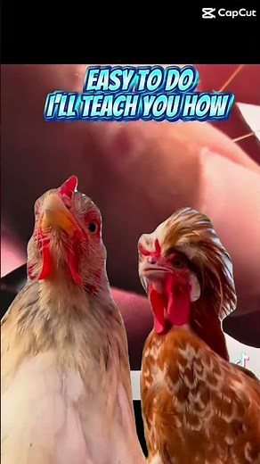 How Hackle Stack Puts The Fly In The Film- Fly Vision™By Johnny Utah ‪@HowToTieFlies‬ #how #learn