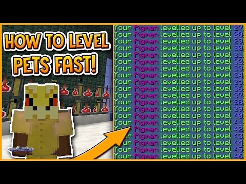 HYPIXEL SKYBLOCK | how to level up pets FAST!