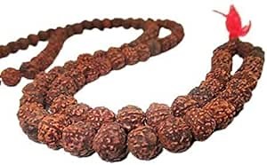 Hitech 108 Beads Rudraksha Japa Mala - 36" Long - Bead Size 8 mm (Prayer Beads for Meditation) Healing Prayer mala,OM AUM Through Meditation.