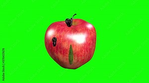 4k 3d animation showing grubs eating into a apple for a food and nature type design.