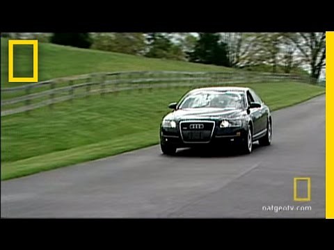 Pedestrian Crash Test Dummy | National Geographic