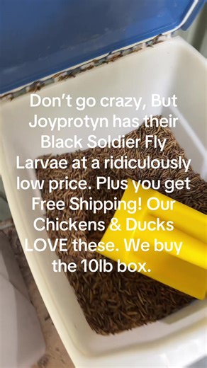 The way they go crazy for this every single time 😳 Joyprotyn Black Soldier Fly Larvae are officially a staple. @JoyprotynOfficial #Joyprotyn #tiktokmademebuyit #pettreats #petmusthaves #tiktokshopcreatorpicks