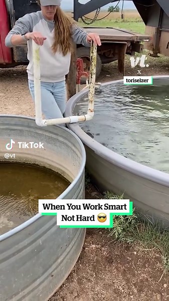 Essential Life Skills to Learn for Daily Success