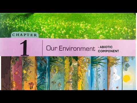 Our Environment-Abiotic Component-Class-VI, Science, DAV Public school