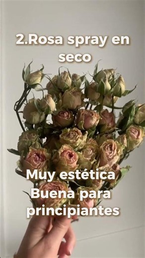 La flor mas rentable para vender kits DIY en secos