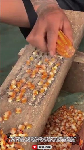 DIY Nail-Board Tool for Faster Corn Shelling #ToolHolder