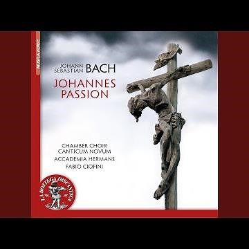 Johannes Passion, BWV 245: Recitative: Und von Stund (1724 Version)