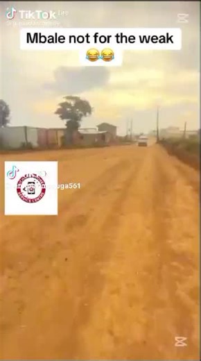 Bush baby (@bush.baby55)’s videos with original sound - Bush baby