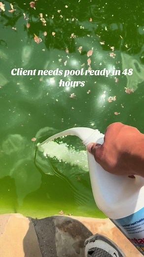 Transforming Green Pool to Blue: Satisfying Pool Cleaning ASMR