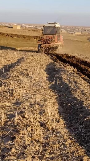 Red Tractor Plowing Dry Fields Efficiently