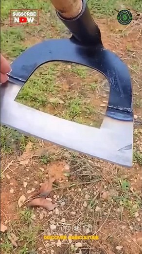 Amazing Weeding Tool