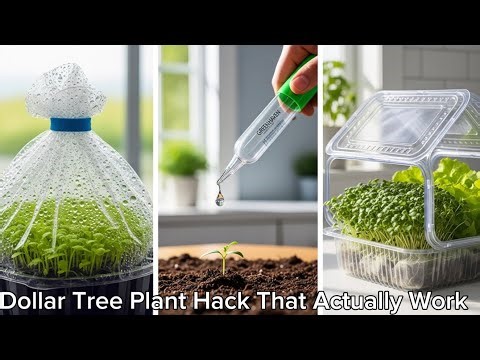 12 Dollar Tree Indoor Garden Hacks That Actually Work🔥