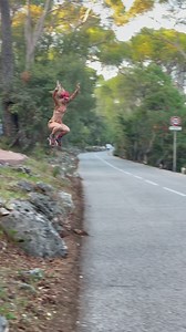 The best hill bomb cause it went on forever !!!💞🤪 | Jammalynn Flower