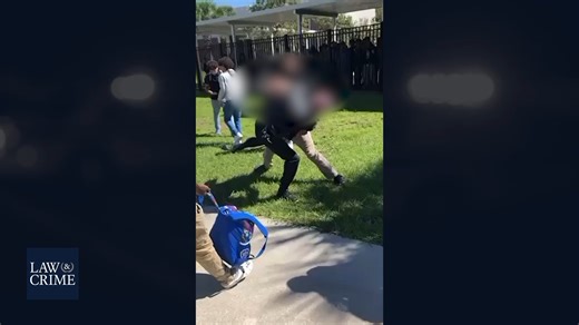 Cell phone video shows a 15-year-old boy allegedly rushing a school resource officer who was breaking up a fight between two 14-year-olds. The teen is charged with battery of a law enforcement officer and resisting an officer with violence. | Law&Crime