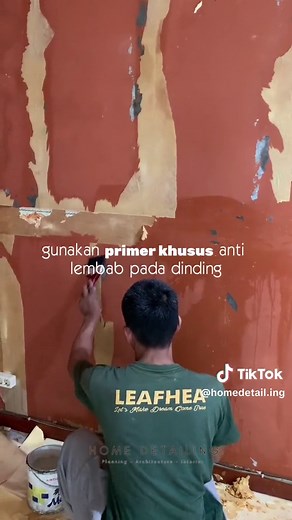 Home Detailing on TikTok