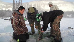 Five potential solutions to food insecurity in Canada’s North