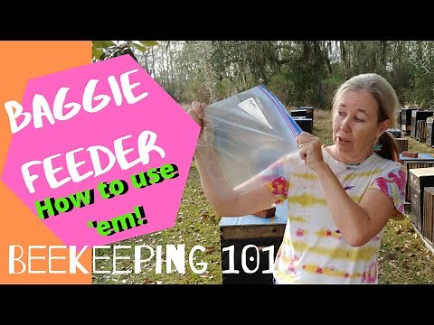 ☯️ How to Use Baggie Feeders Beekeeping 101