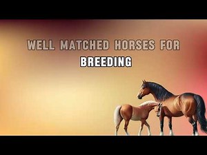 Horse Breeding Tips: Expert Guide for Beginners | Everything You Need to Know... #horse