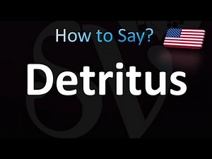 How to Pronounce Detritus in American English (USA)