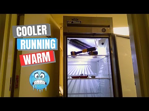 True Reach in cooler is not cooling