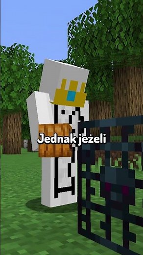 NIEPRAWDZIWY KOCIOŁ W MINECRAFT