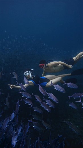 Join the Ultimate Summer Freediving Adventure