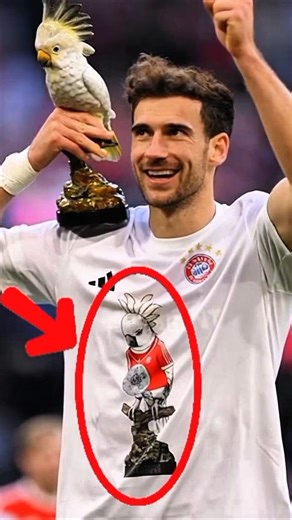 Who Stole Bayern’s Cockatoo? The Mystery Behind Those Shirts