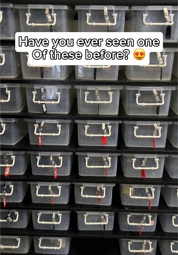 😍😍😍 #kodokpacman #pacmanfrog