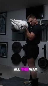 Kitty curl tutorial #cat #gym