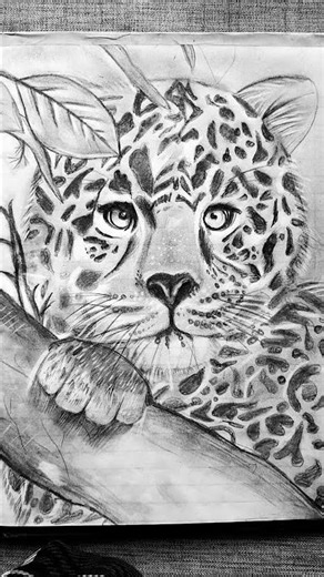 “The strength of a leopard, captured in every stroke ✏️🔥#asmaart #pencilportrsit #drawingtechniques